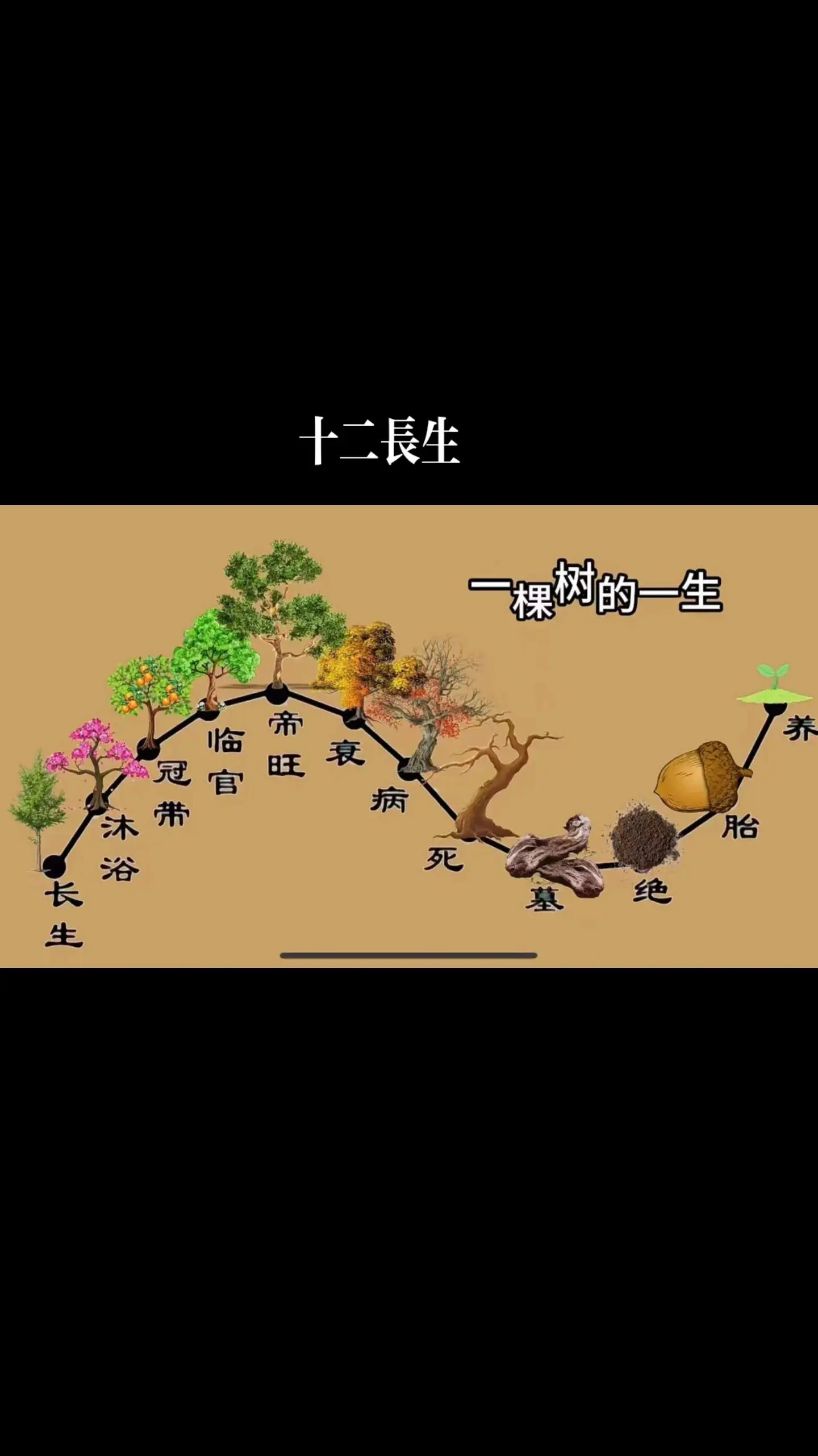五行十二长生表