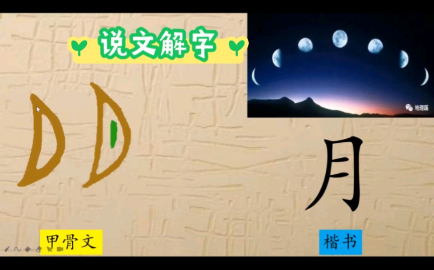 科普展现:月字五行（月字五行及寓意）