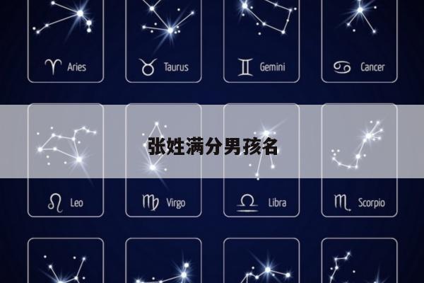 张姓满分男孩名