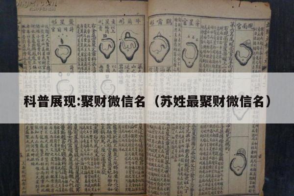 科普展现:聚财微信名（苏姓最聚财微信名）