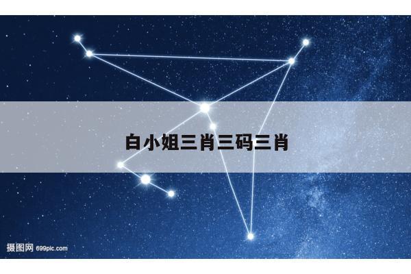 白小姐三肖三码三肖