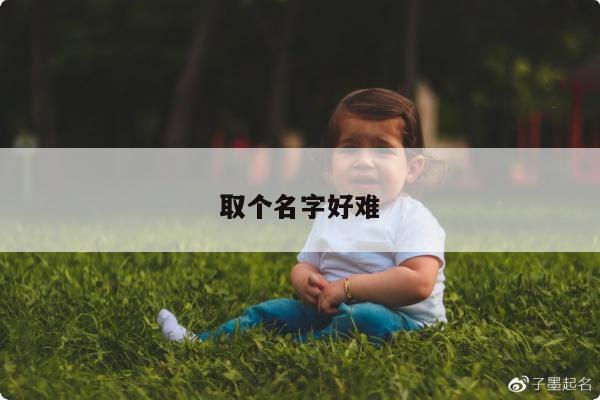 取个名字好难