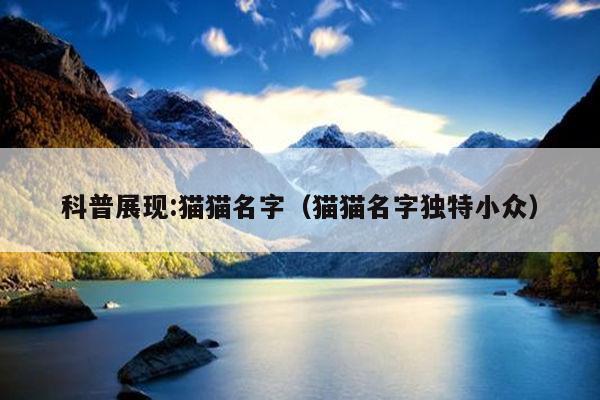 科普展现:猫猫名字（猫猫名字独特小众）