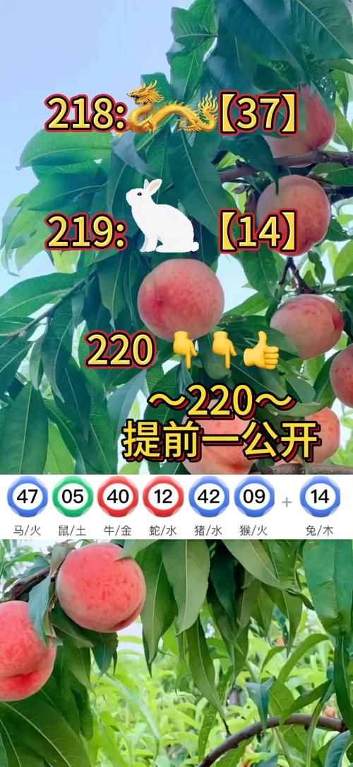 13262cc澳门资料,澳门资料库123656全